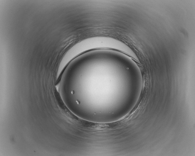 X0000116300128200911301449