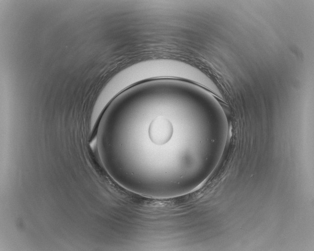 X0000116300129200911301449