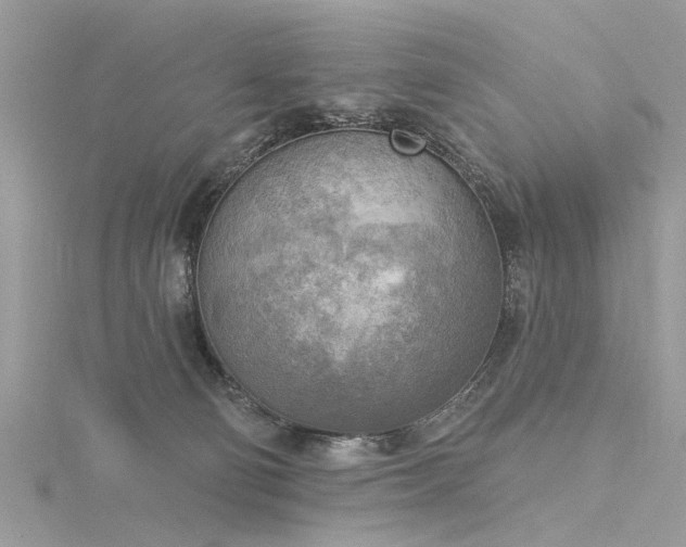 X0000116300130200911301449