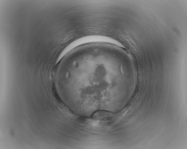 X0000116300131200911301449