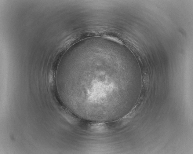 X0000116300132200911301449