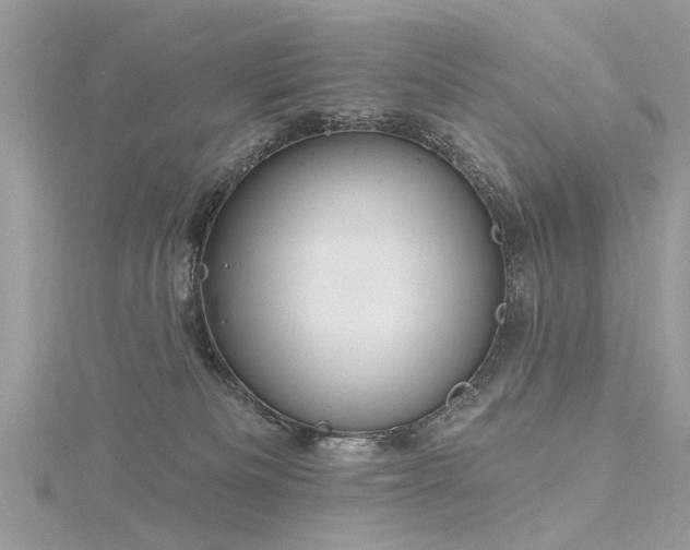 X0000116300133200911301449