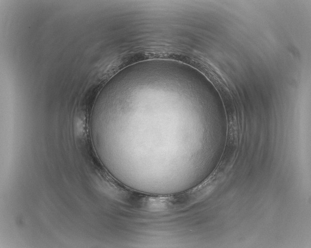 X0000116300134200911301449