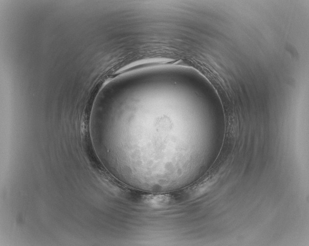 X0000116300135200911301449