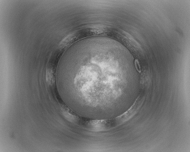 X0000116300136200911301449