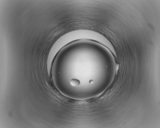 X0000116300137200911301449