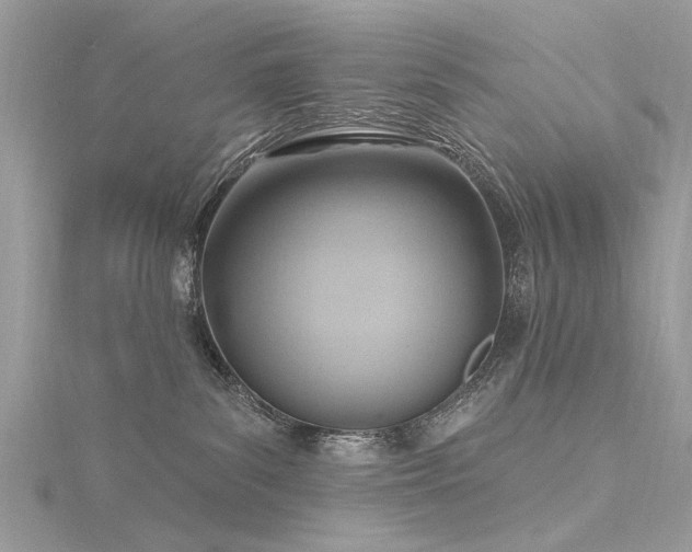 X0000116300139200911301449