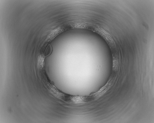 X0000116300142200911301449