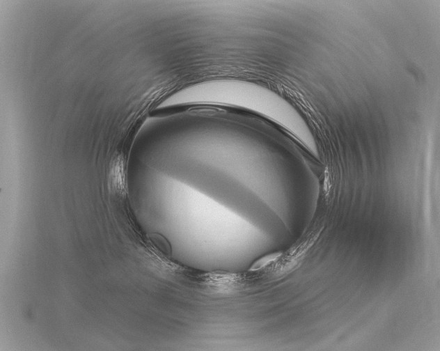 X0000116300143200911301449