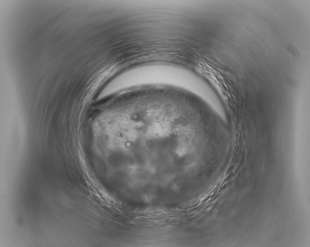 X0000116300145200911301449