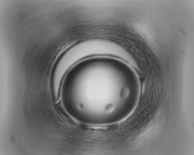 X0000116300146200911301449