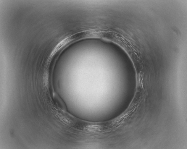 X0000116300150200911301449