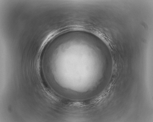 X0000116300151200911301449