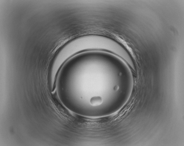 X0000116300154200911301449