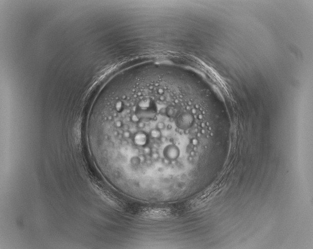 X0000116300155200911301449