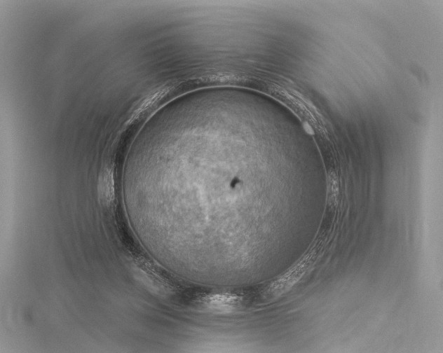 X0000116300158200911301449