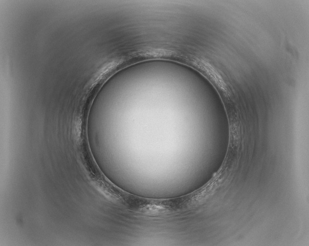 X0000116300159200911301449