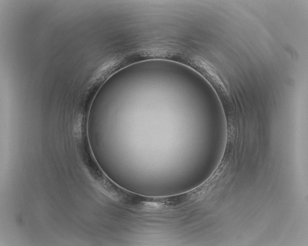 X0000116300167200911301449