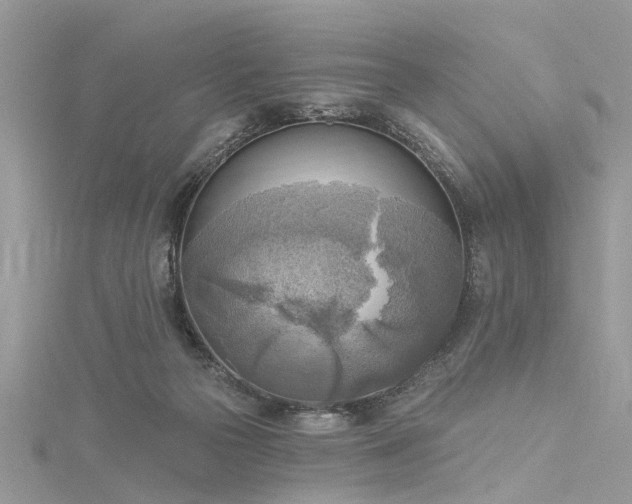 X0000116300169200911301449