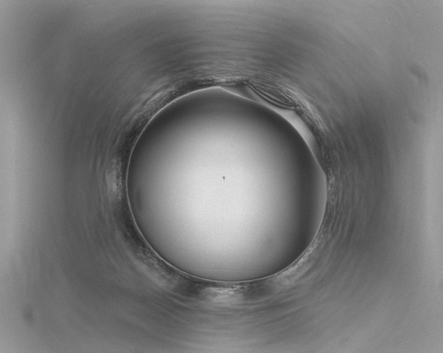 X0000116300170200911301449