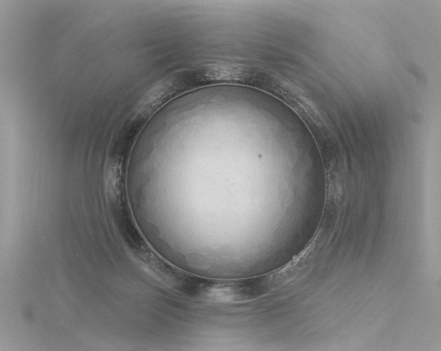 X0000116300171200911301449