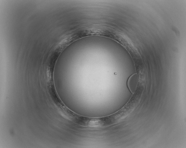 X0000116300173200911301449