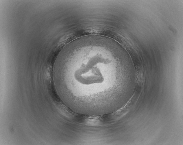 X0000116300175200911301449