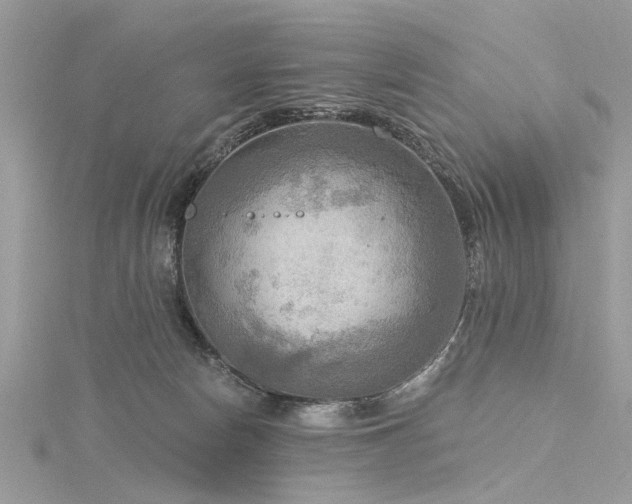 X0000116300178200911301449