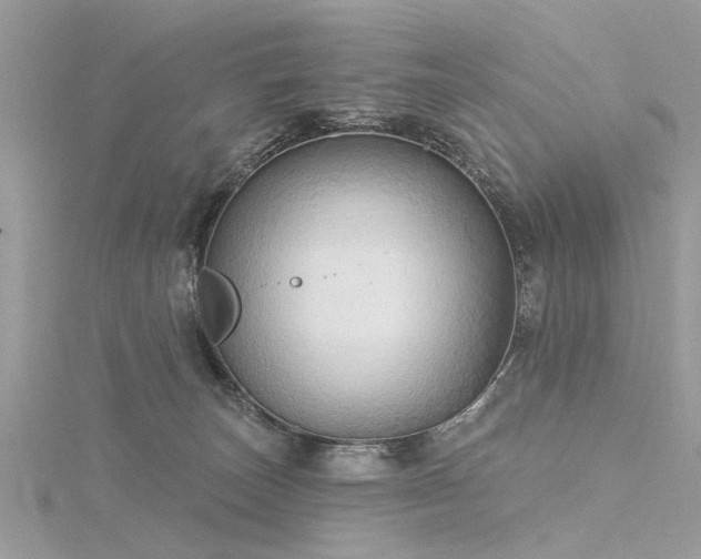 X0000116300179200911301449