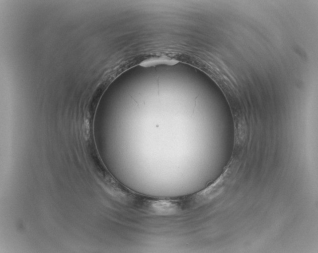 X0000116300183200911301449