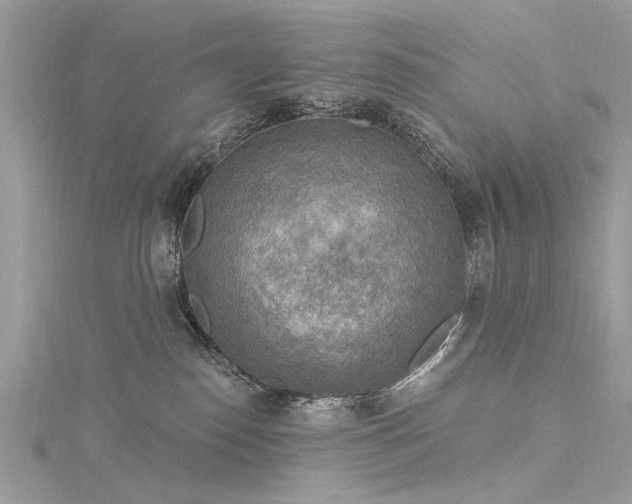 X0000116300186200911301449