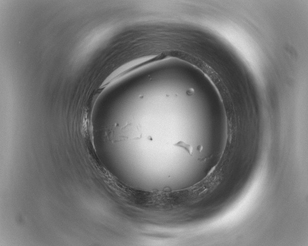 X0000116300190200911301449