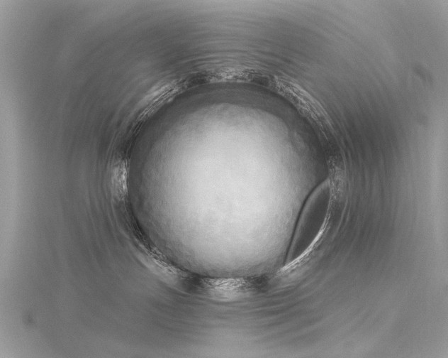 X0000116300191200911301449