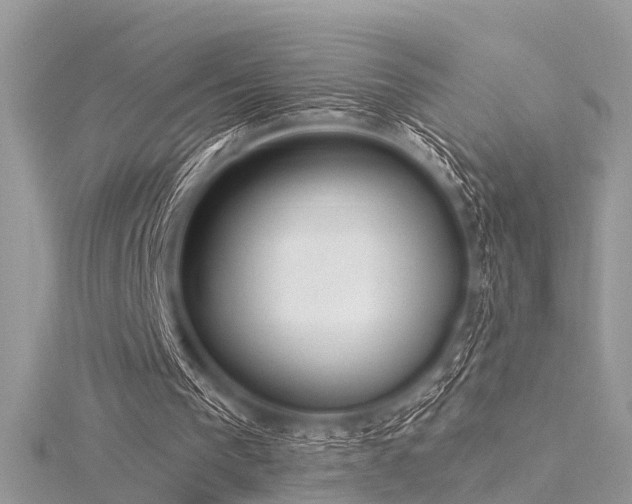 X0000116300193200911301449