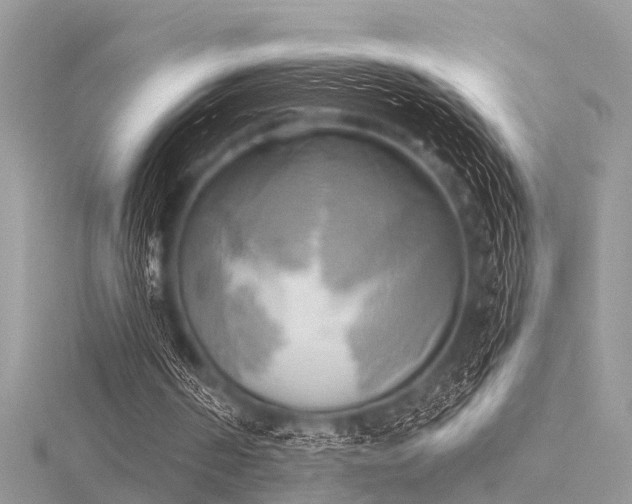 X0000116300194200911301449