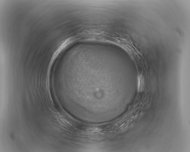 X0000116300195200911301449