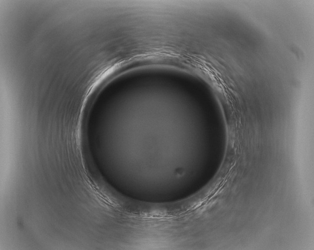 X0000116300196200911301449