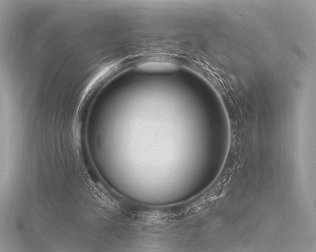 X0000116300197200911301449