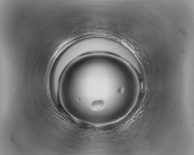 X0000116300199200911301449