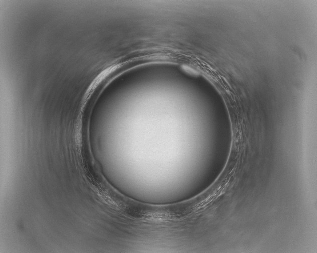 X0000116300200200911301449