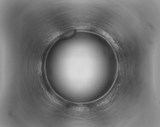 X0000116300201200911301449