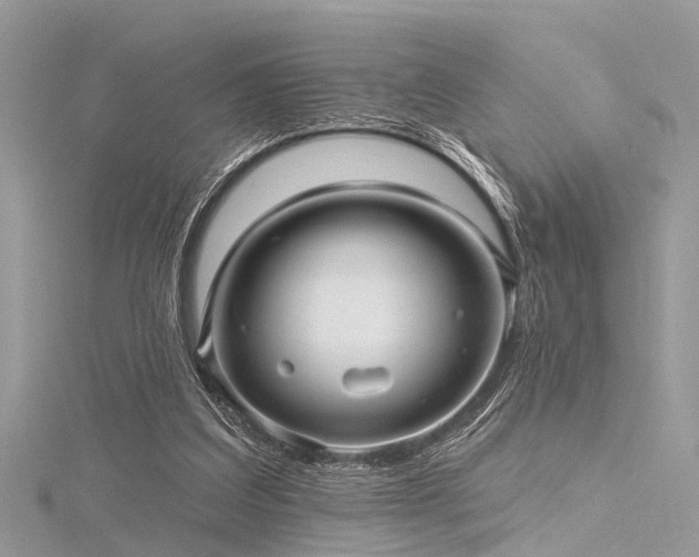 X0000116300203200911301449