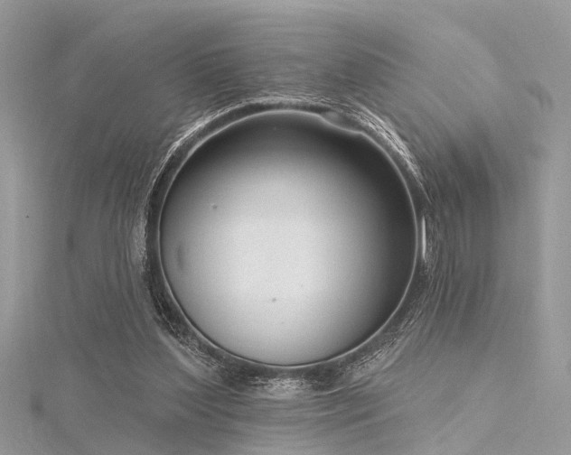 X0000116300204200911301449