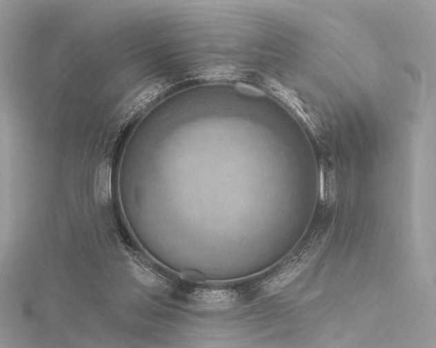 X0000116300205200911301448