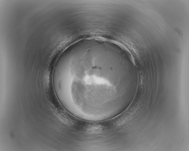 X0000116300206200911301448