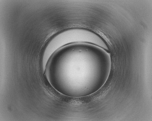 X0000116300207200911301448