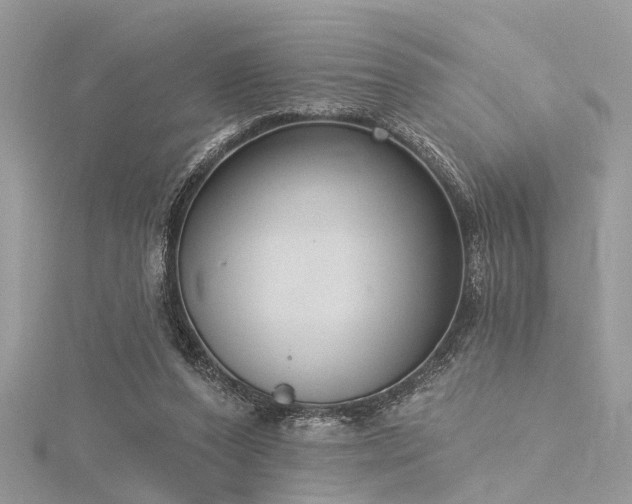 X0000116300208200911301448