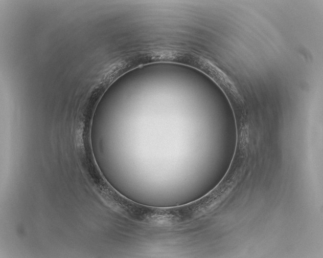 X0000116300209200911301448