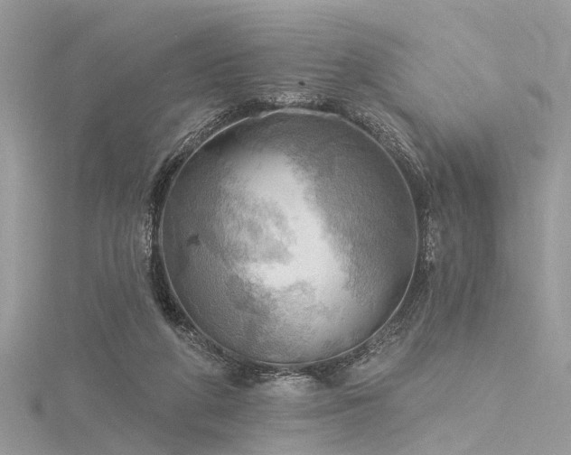 X0000116300210200911301448