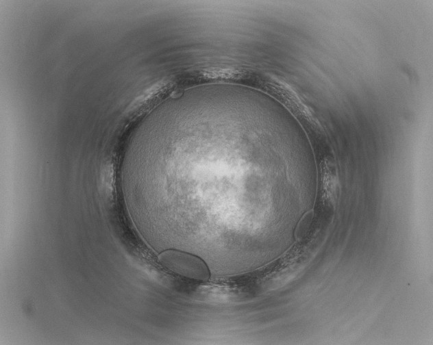 X0000116300211200911301448